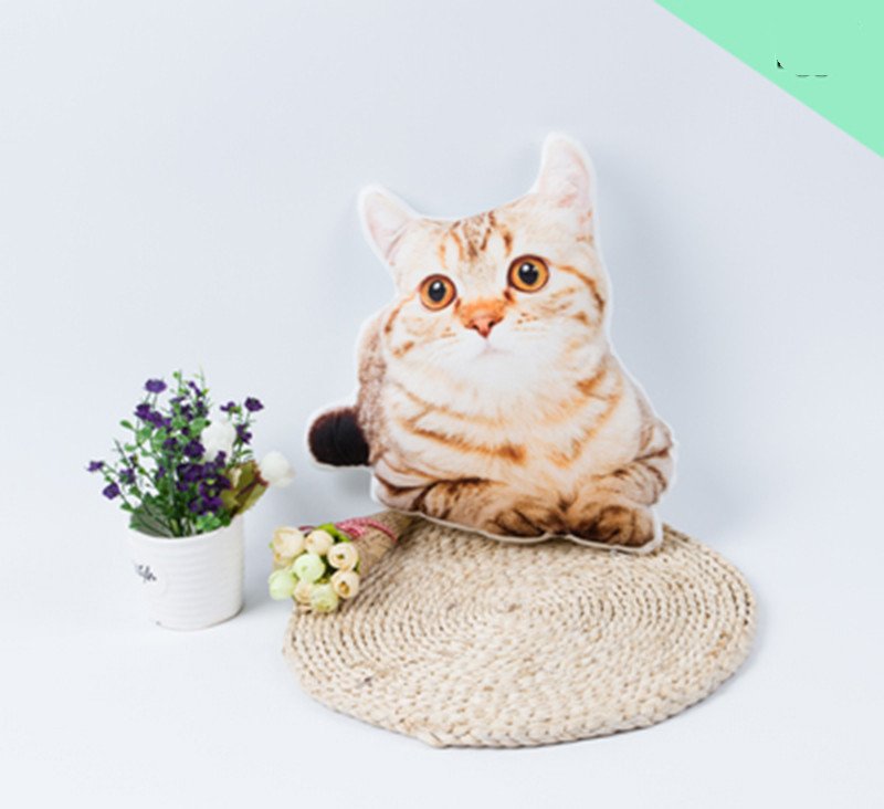 3D Pet Photo Shaped Pillow