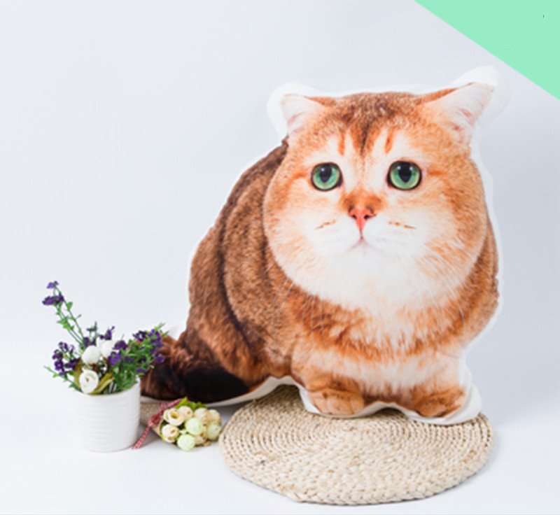 3D Pet Photo Shaped Pillow