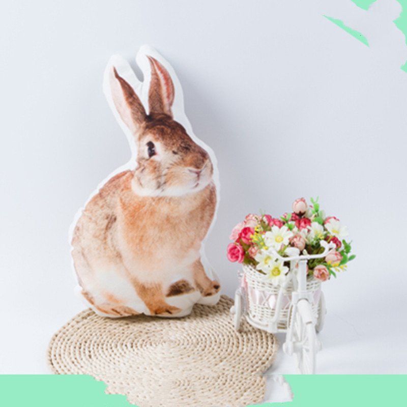 3D Pet Photo Shaped Pillow